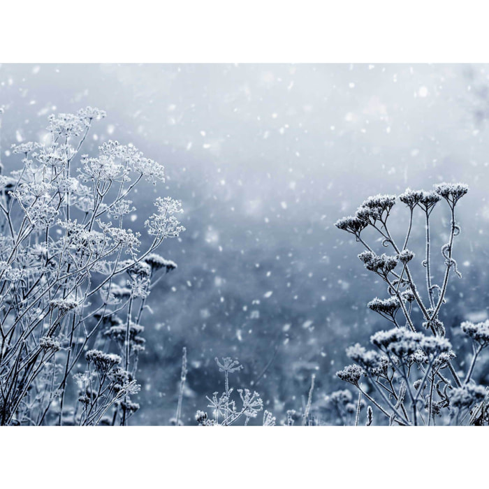 Papier peint panoramique Givre bleu  Intissé