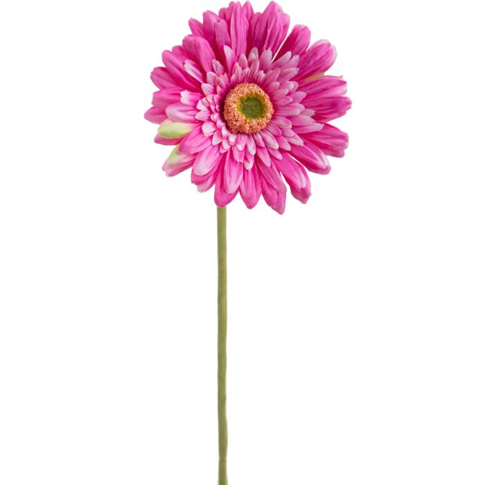 Fiore Di Gerbera Singolo. Altezza 62 Cm - Pezzi 12 - 12X62X12cm - Colore: Viola - Bianchi Dino - Fiori Artificiali