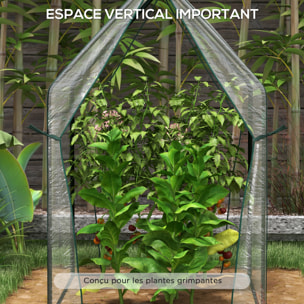 Serre de jardin balcon terrasse serre pour tomates 0,9L x 0,9l x 1,45H m double porte acier PVC transparent vert