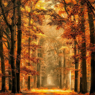 Affiche paysage magie de l' automne Affiche + cadre en bois - Chêne