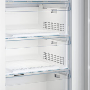 Congélateur armoire BEKO RFNE448E55W