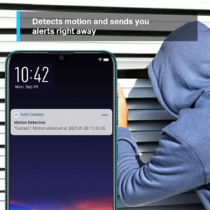 Caméra de surveillance TP-LINK Tapo C210 2K
