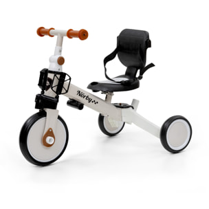 Triciclo para Bebés Evolutivo para Niños