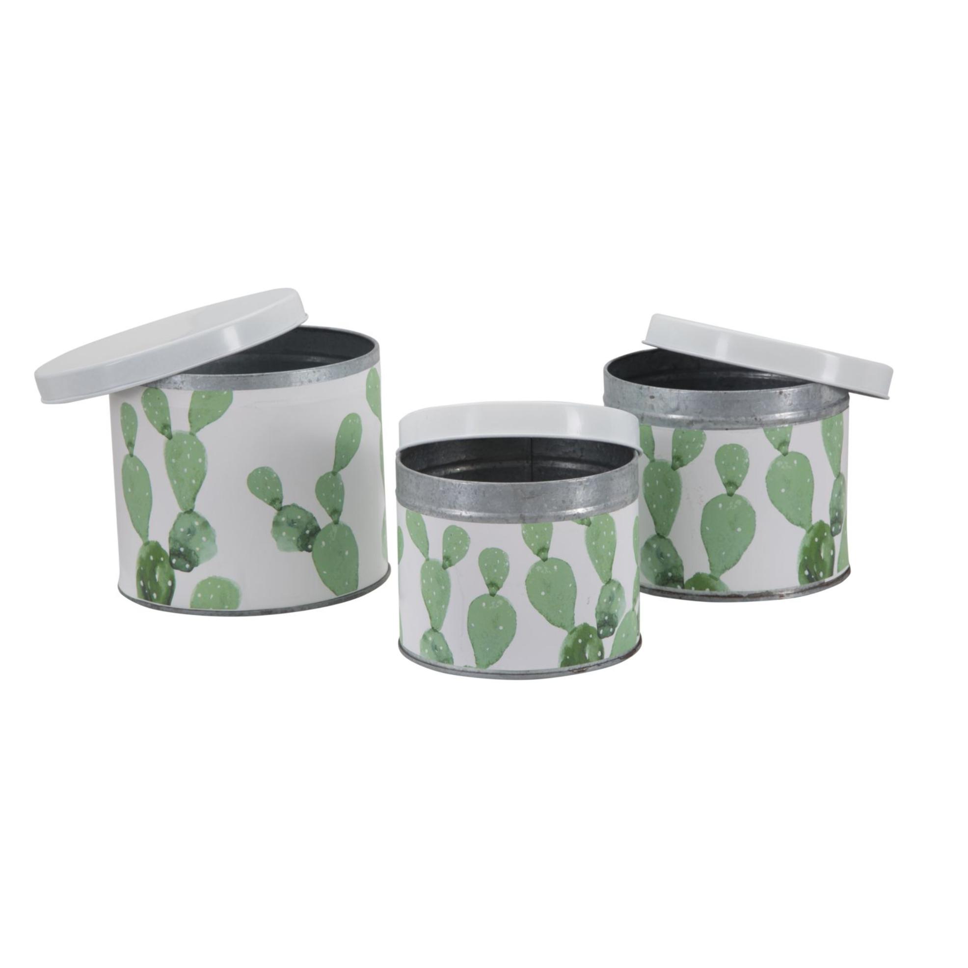 COFANETTI CACTUS SET 3 PZ OFFICINE 55 BICOLORE