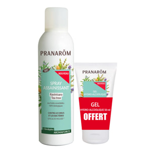 Pranarom - Duo pack spray assainissant & gel hydroalcoolique Ravintsara & Tea-tree - Bio - 150 ml