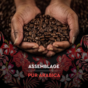 Moulu Sélection Honduras Bio 250G