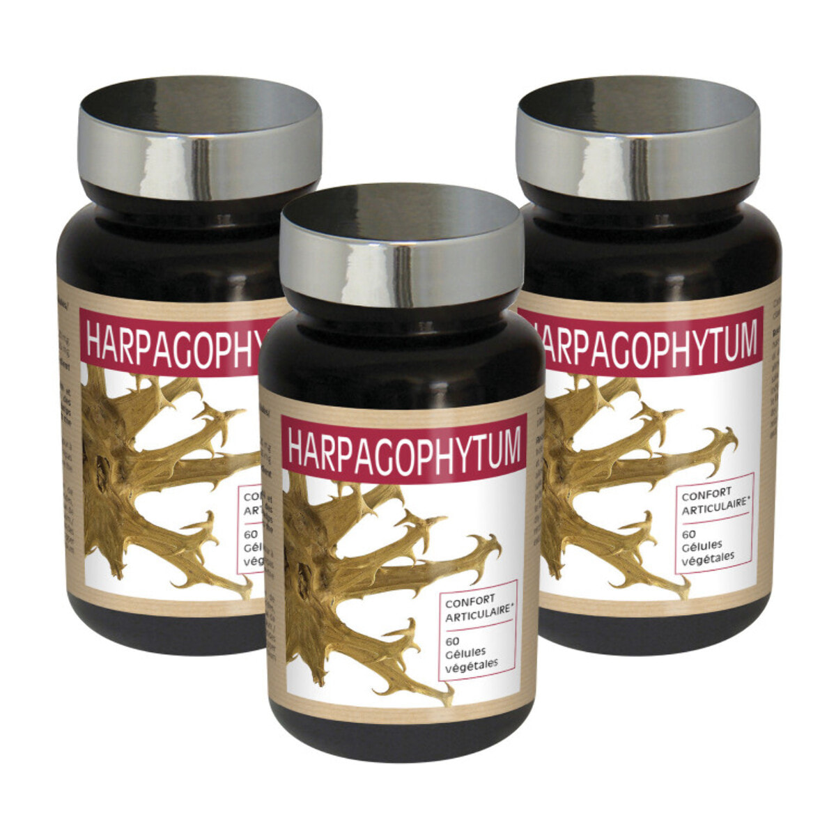 NUTRI EXPERT - Harpagophytum - Flexibilité des articulations et des tendons - Maintient la mobilité - Extraits de plantes - Lot de 3 produits
