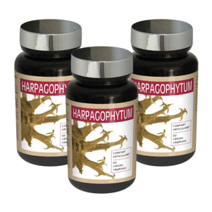 NUTRI EXPERT - Harpagophytum - Flexibilité des articulations et des tendons - Maintient la mobilité - Extraits de plantes - Lot de 3 produits