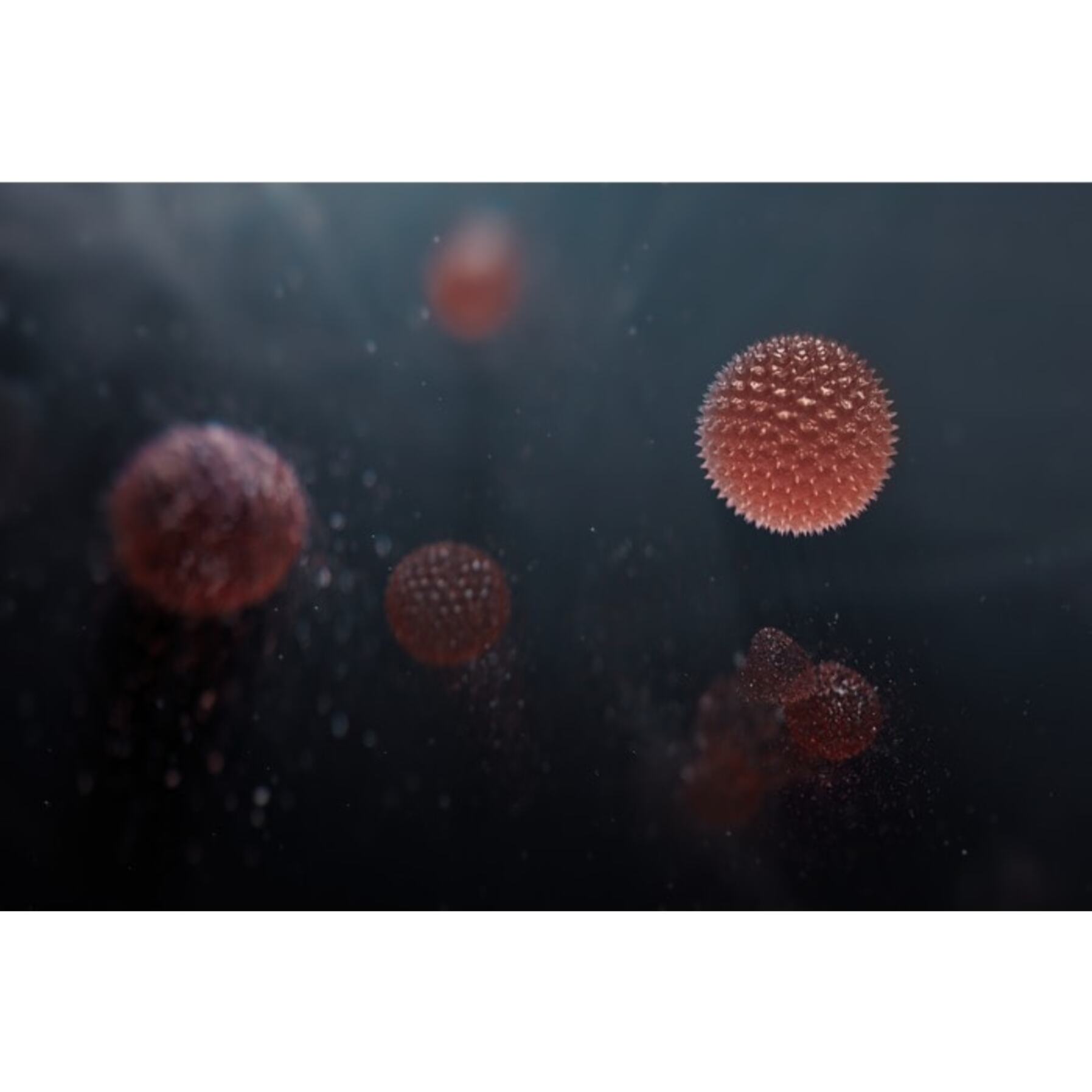 AEG Filtro de protección contra olores y gases Filtro para Multi 7000 AFFBTH2