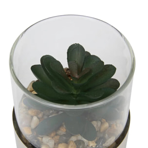 Terrarium Sky 8,5x8cm