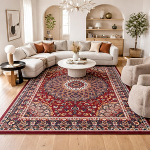 Tapis oriental tissé motif ethnique FEKU