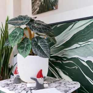 Cachepot con Elfi - Pezzi 2 - 21xH17x20cm - Bianchi Dino SpA