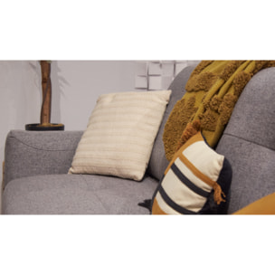 Lot de 2 coussins 40 x 40 cm en coton brodés beige - PLUME