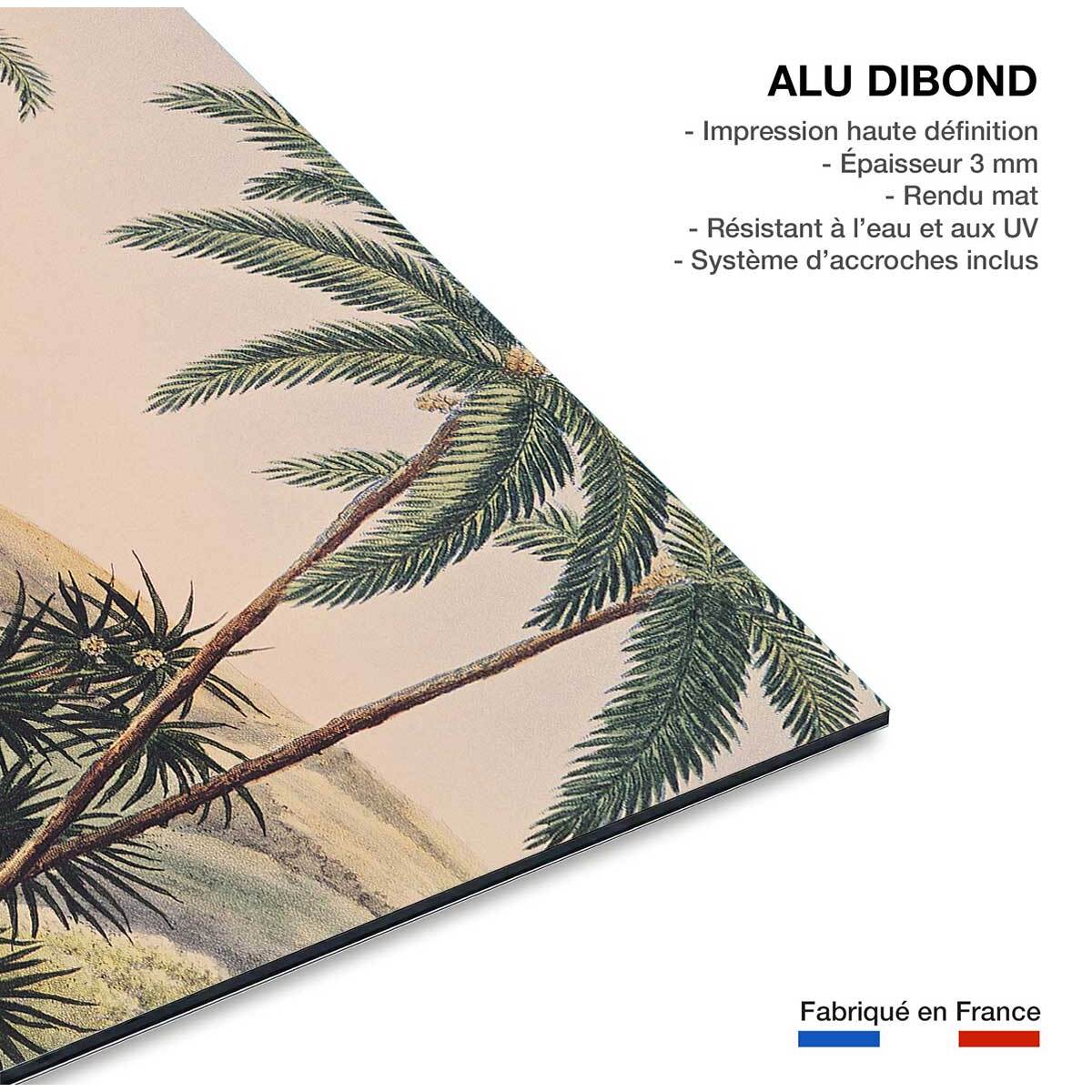 Tableau célèbre tahiti matavae au 19eme siècle  Tableau alu Dibond