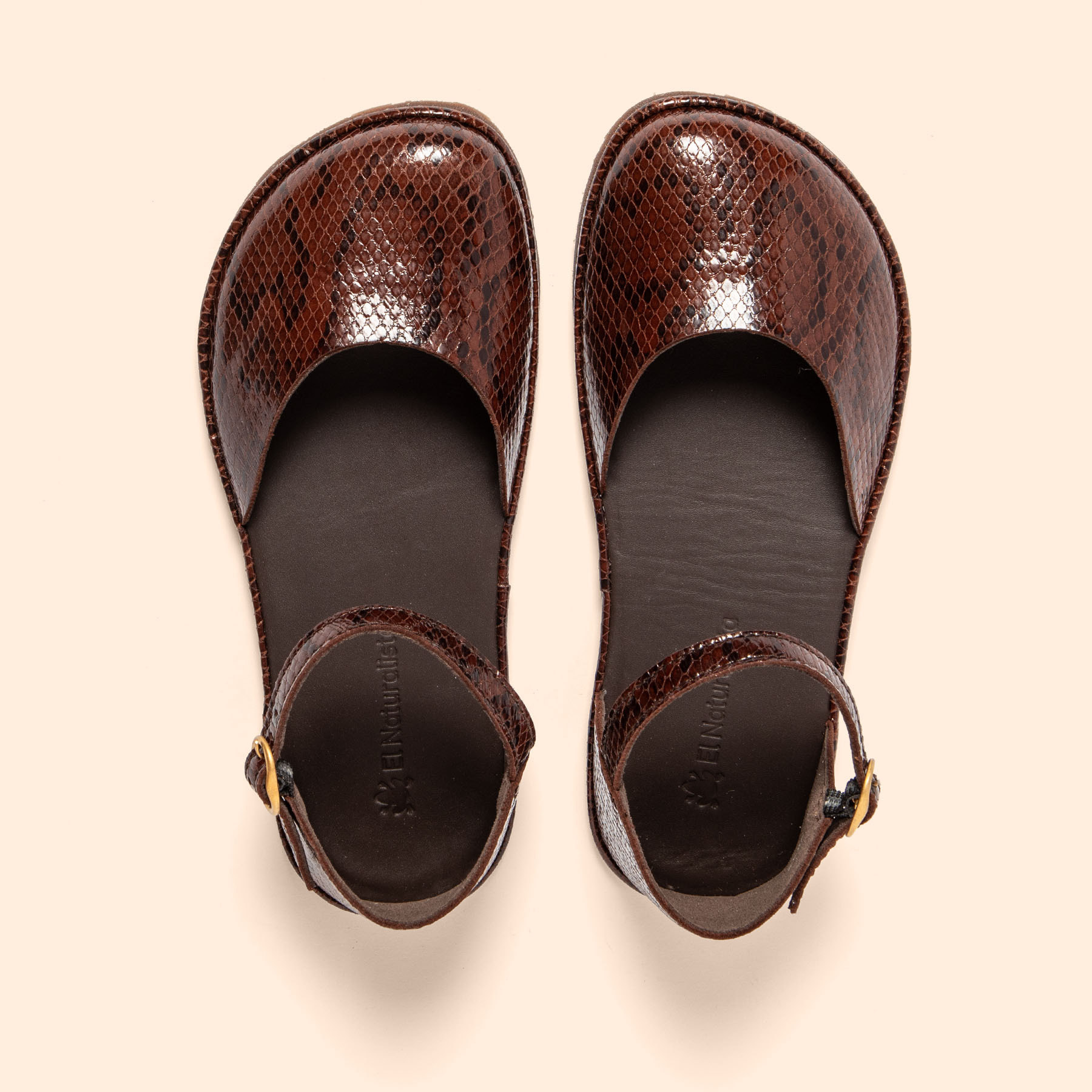 Sandalias N5683 SNAKE CHOCOLATE/ BARE SANDALS color Chocolate