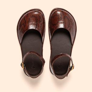 Sandalias N5683 SNAKE CHOCOLATE/ BARE SANDALS color Chocolate