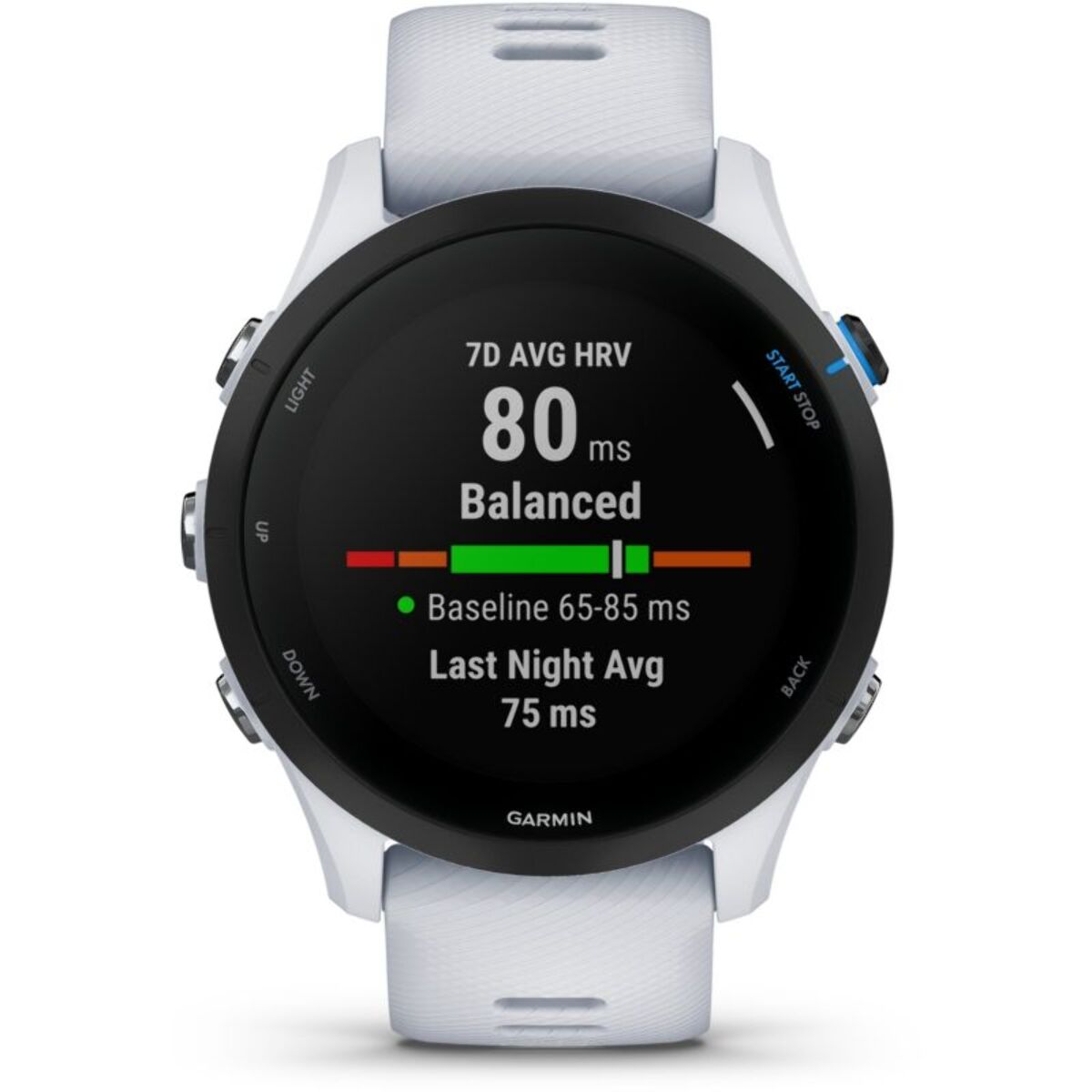 Montre sport GARMIN Forerunner 255 Music Whiitestone