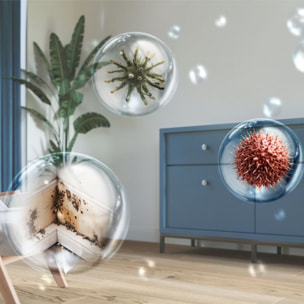 Deshumidificateur PHILIPS Sahara+ DE3306/11 Série 3000