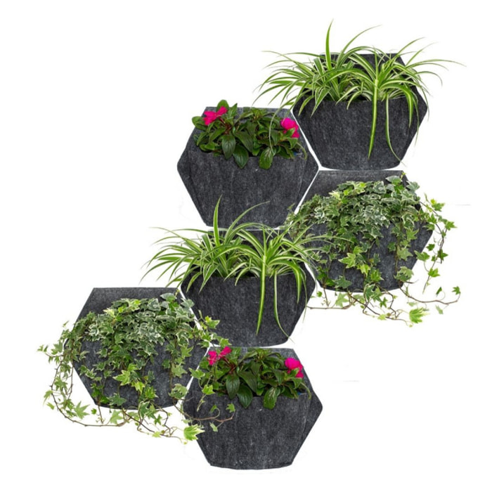 Jardín vertical con autorriego : 6 macetas de pared hexagonales con 12 plantas colgantes