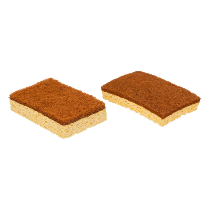Lot de 2 éponges en coco BlackWood