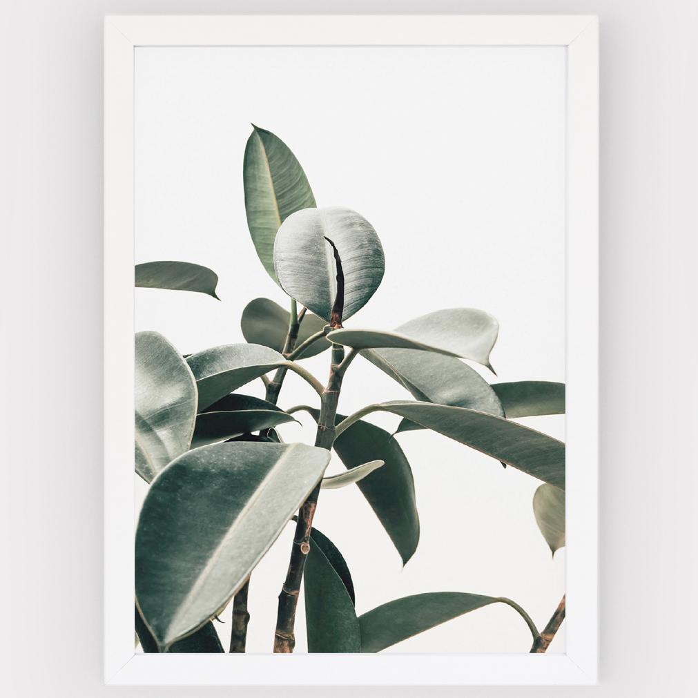 Poster Green plant