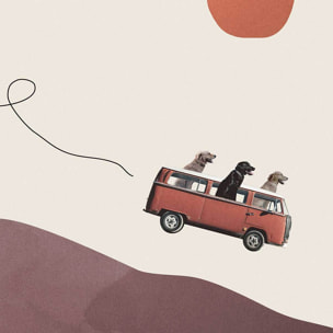 Affiche enfant aventurier Affiche + cadre en bois - Chêne