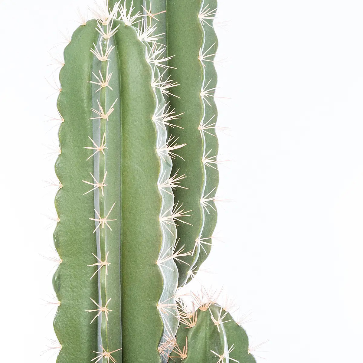 Cactus artificiel H185 cm