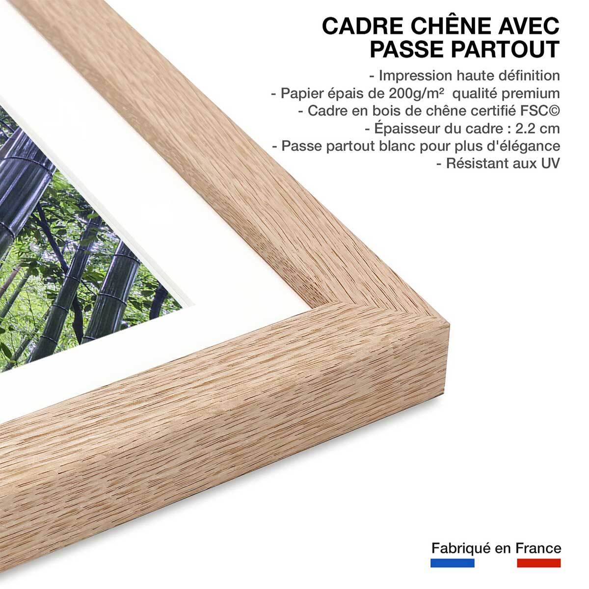 Affiche zen Bambous Geants Affiche + cadre en bois - Chêne