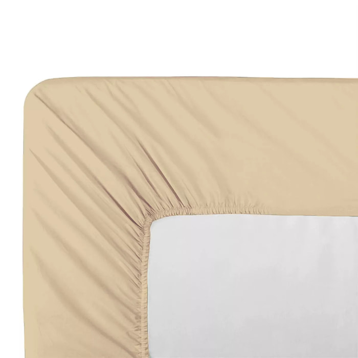 Drap housse b40 percale de coton uni beige La percale francaise beige clair