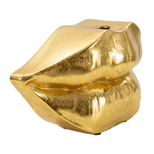 VASO MOUTH LIP CM 23X8X12