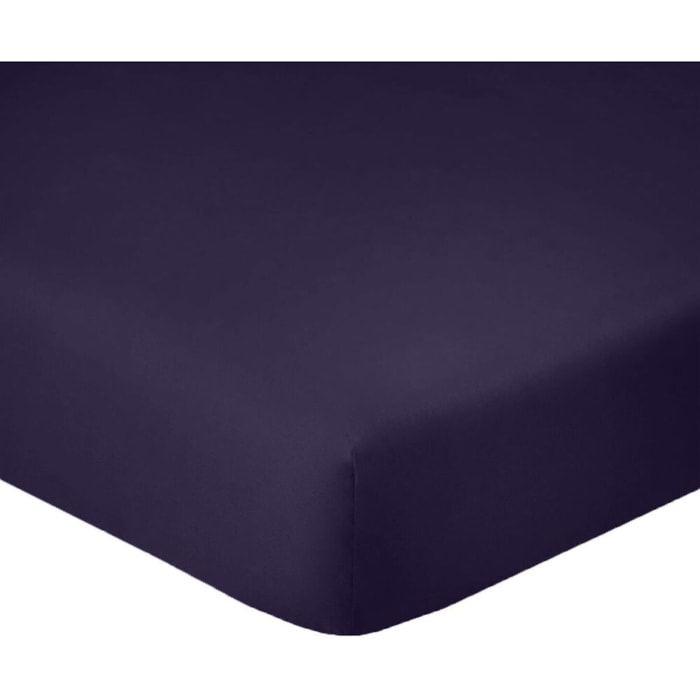 Lot de 2 Draps Housse - Bonnet 35cm 100% Coton 57fils Bleu Imperial