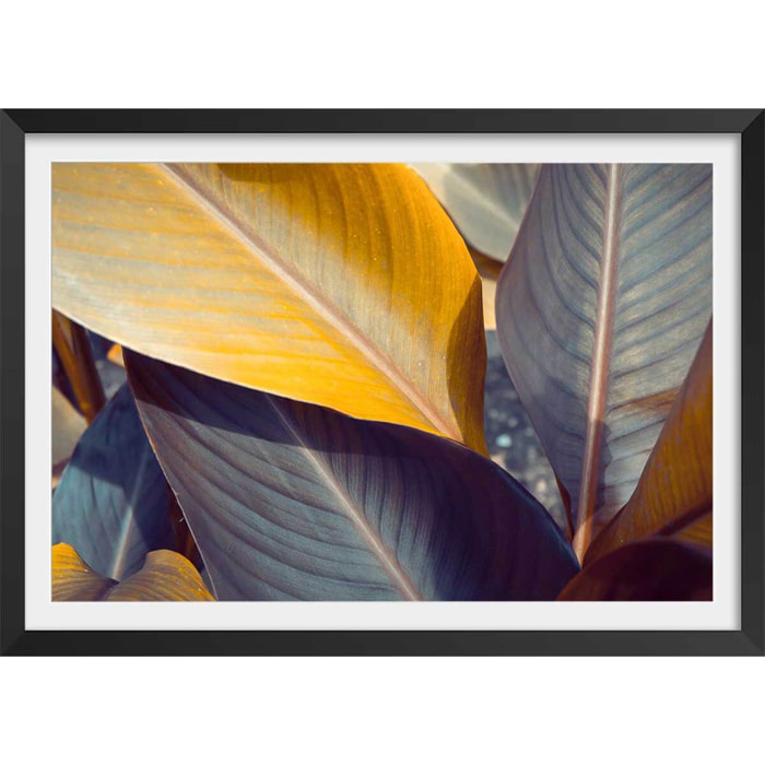 Affiche palm leaves y Affiche + cadre en bois - Noir