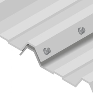 Vis bac acier SCELL-IT Couturage - Ø6.3 x 22 mm - TH12 - Gris terre d'ombre RAL7022 - Sachet de 100 - ZTCR-63022-7022