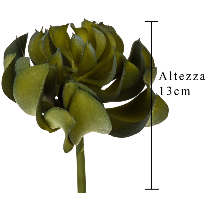 Aoenium Arboreum. Altezza 13 Cm - Pezzi 6 - 9X13X9cm - Colore: Verde - Bianchi Dino - Piante Artificiali