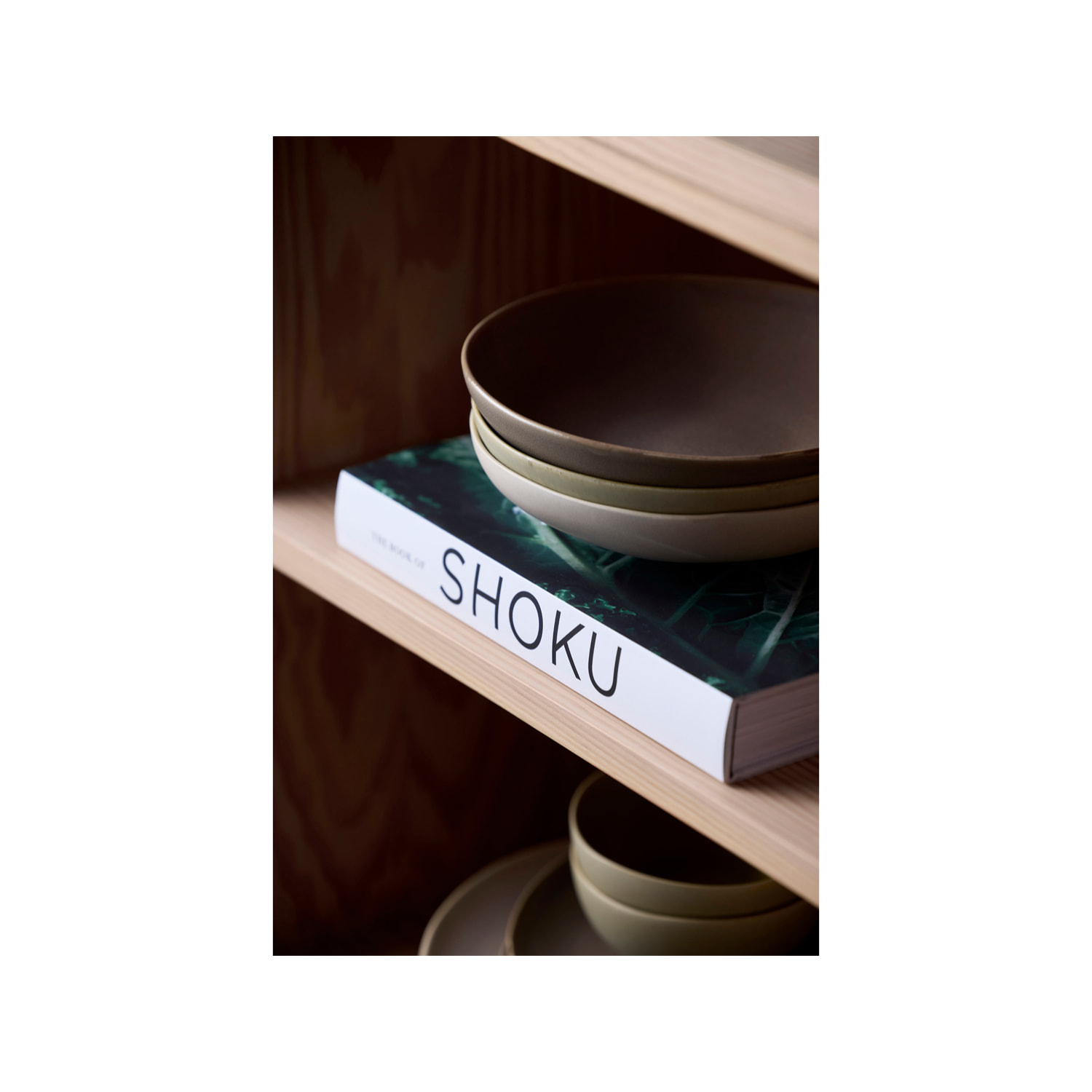 Assiette à pâtes Shoku