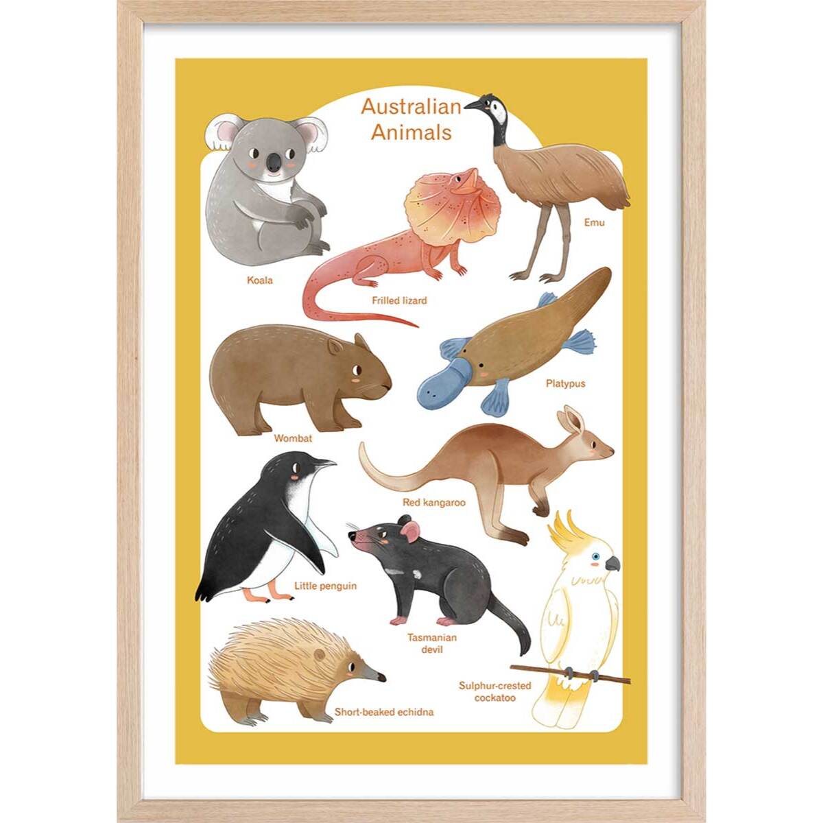 Affiche enfant animaux d' australie  Affiche + cadre en bois - Chêne