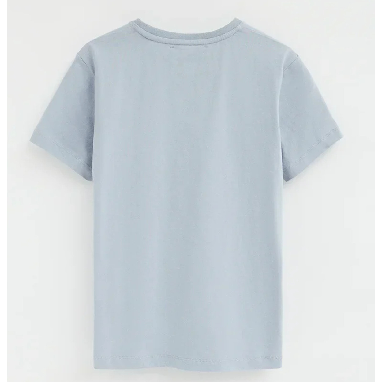 Camiseta azul claro de manga corta y cuello redondo con bordado Rigby Go