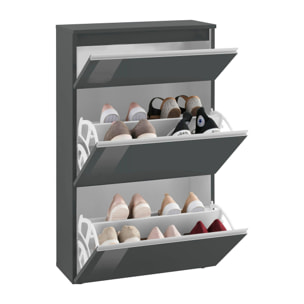 Scarpiera Alejandra, Mobile multiuso a 2 ante e 1 anta a ribalta, Portascarpe da ingresso, 100% Made in Italy, cm 60x27h108, Antracite lucido