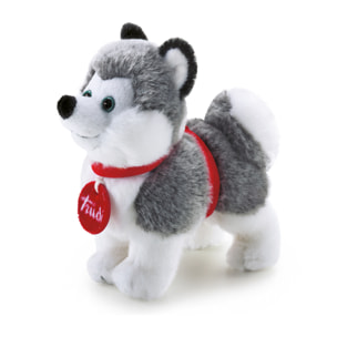 Trudi 51010 - Trudino Husky Taglia XS