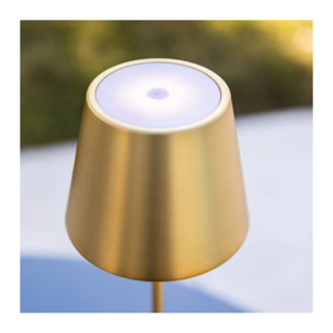 OPALE - Lampe à poser tactile et rechargeable - Or