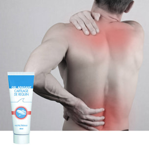 NUTRI EXPERT - Cure de Cartilage de Requin - Améliore confort et mobilité articulaires - Apaise les articulations douloureuses - Cure complète de 2 mois