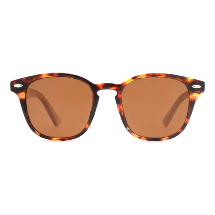 Gafas De Sol Feler St5019 C13