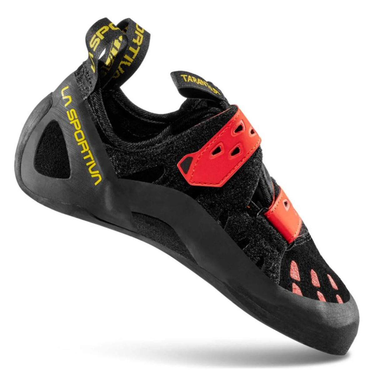 Tarantula Hombre Pies de Gato Escalada