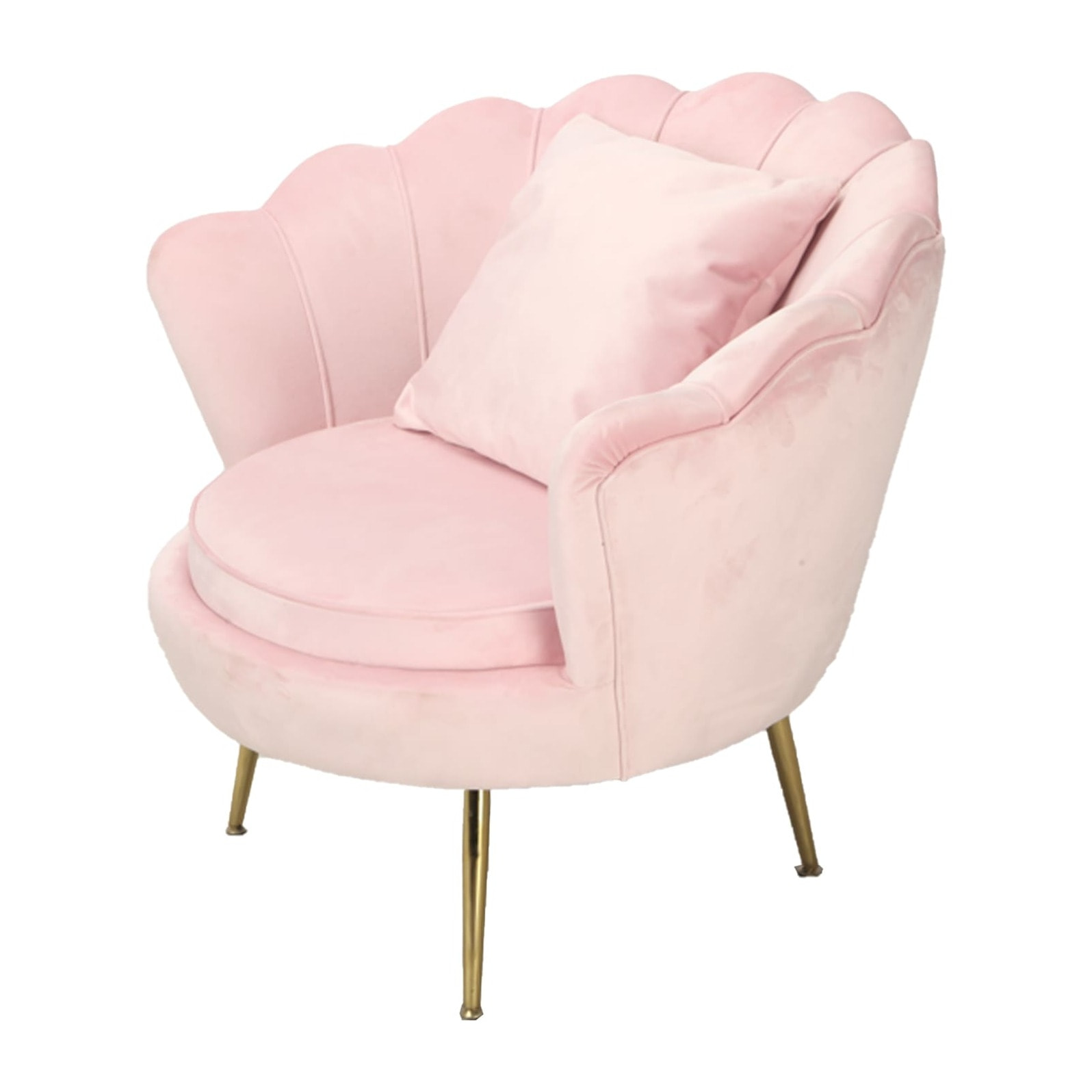 Poltrona, Shelly, velluto, rosa, struttura oro, con cuscino, per soggiorni, locali e camere da letto