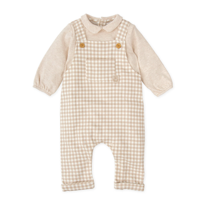 PELELE SIN PIE ARENA - Arena