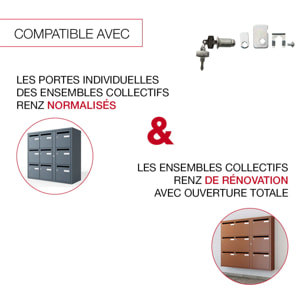 Serrure batteuse longue pour boites aux lettres collectives normalisées (porte individuelle) - RENZ - 023720