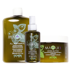 ECHOSLINE Kit Maqui 3 All-In Shampoo 385ml + Maschera 250ml + All-in Oil 100ml