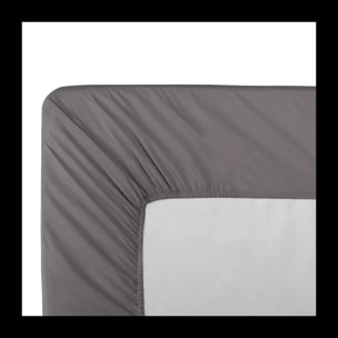 Drap housse b40 Olana acier