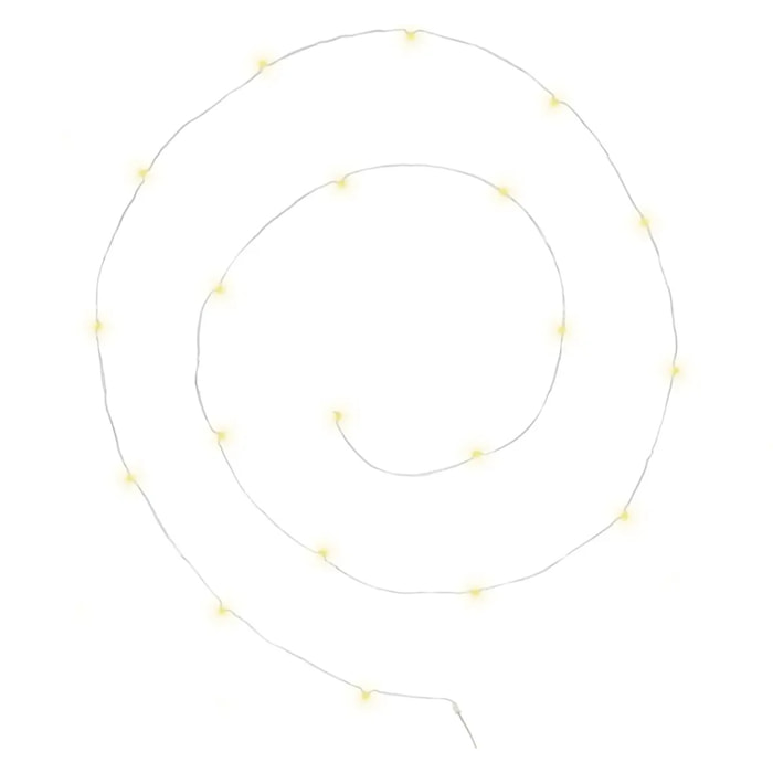 Guirlandes "Anya" 20 microLED à pile argent blanc chaud L190cm