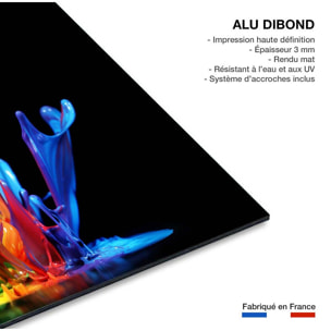 Tableau deco splash Tableau alu Dibond
